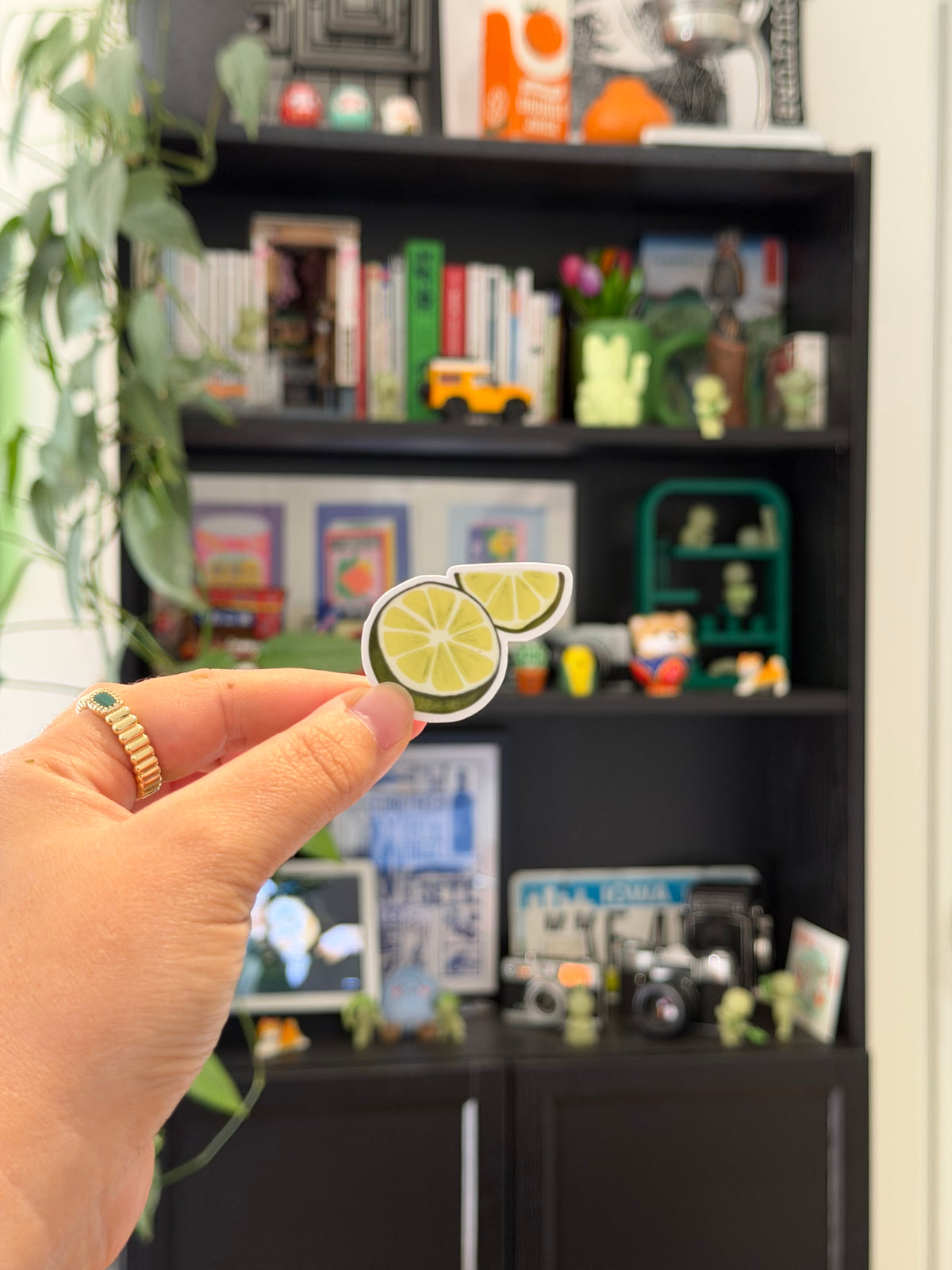 Lime Sticker